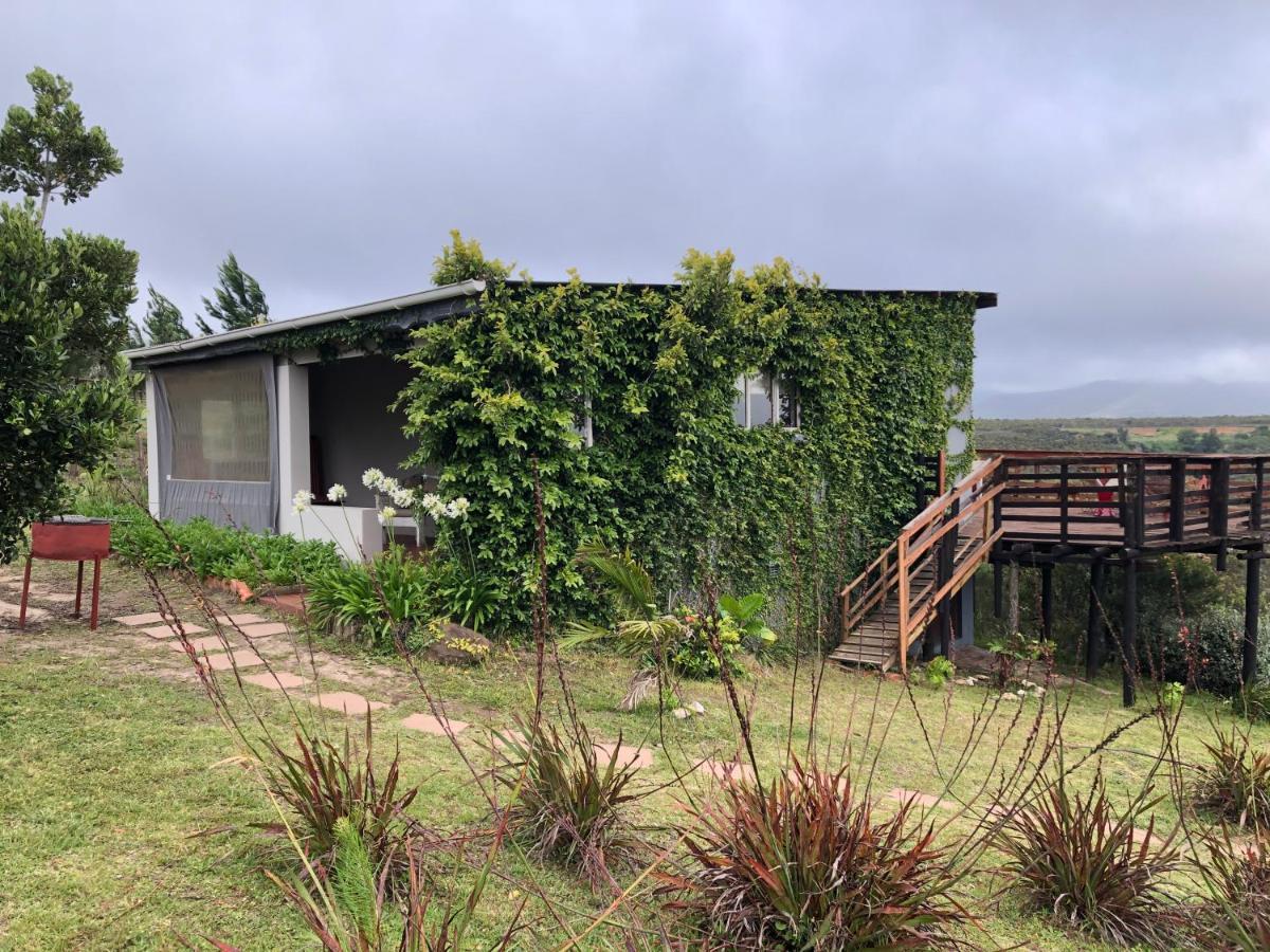 Rainforest Ridge Eco Resort The Crags Bagian luar foto