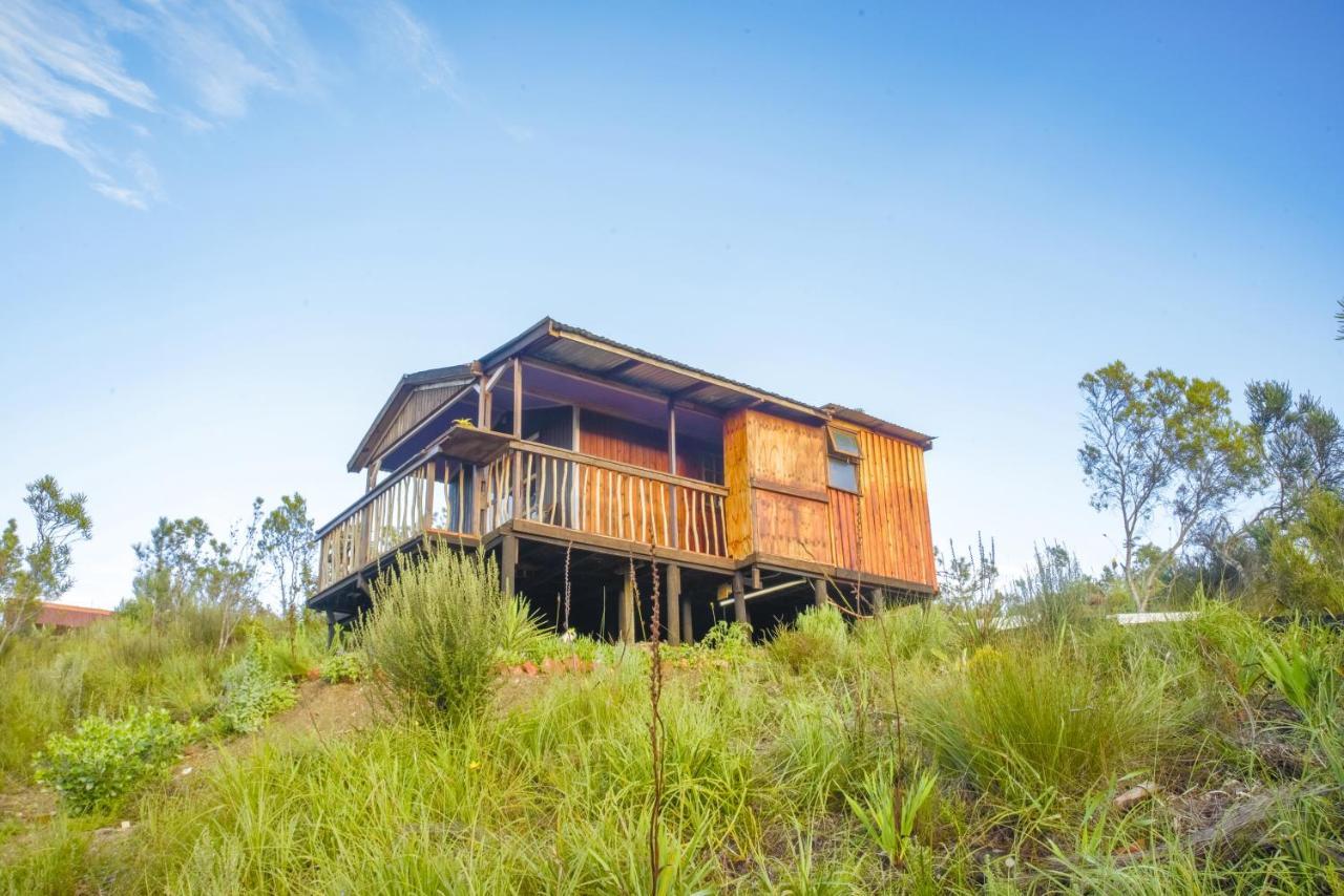 Rainforest Ridge Eco Resort The Crags Bagian luar foto