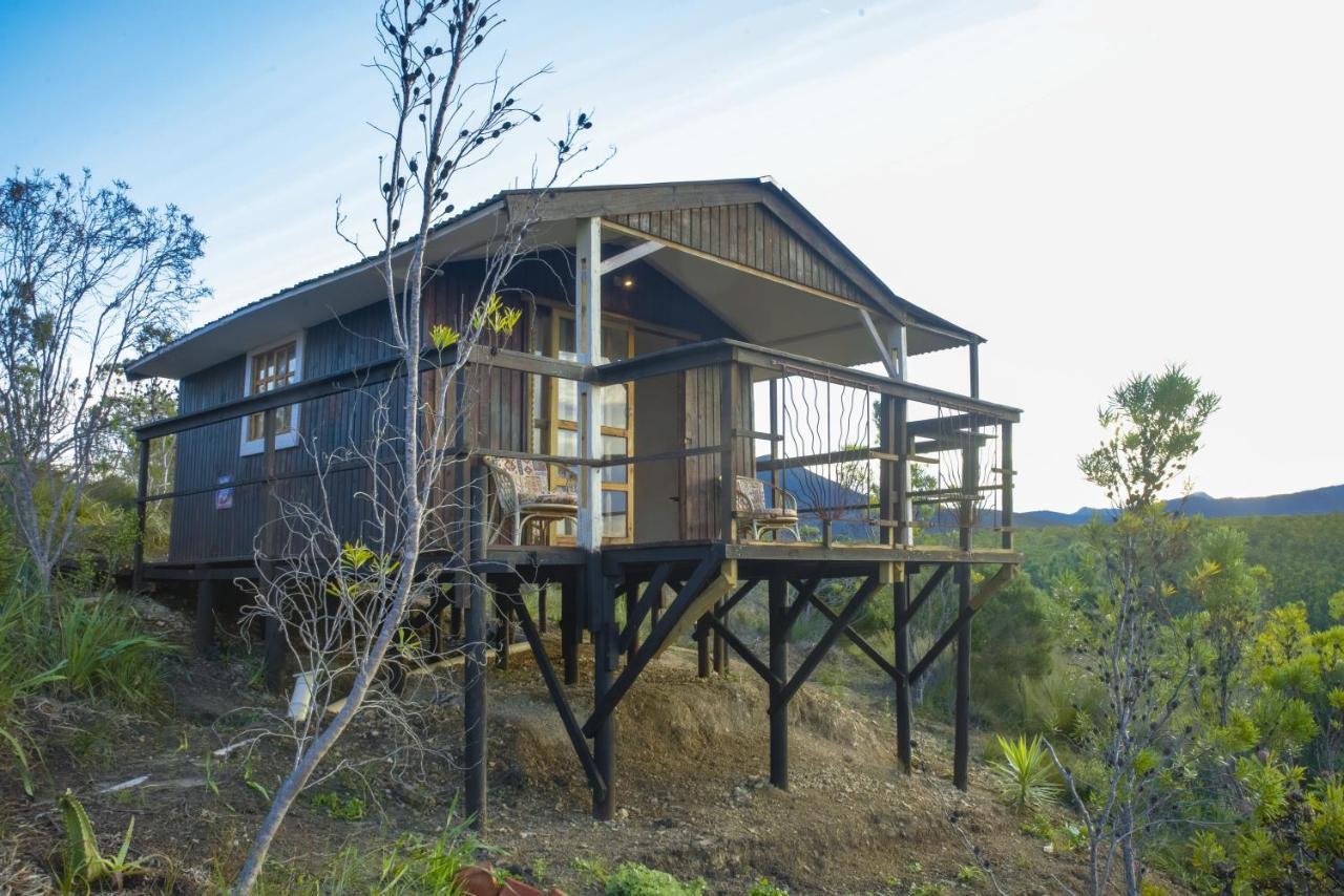 Rainforest Ridge Eco Resort The Crags Bagian luar foto